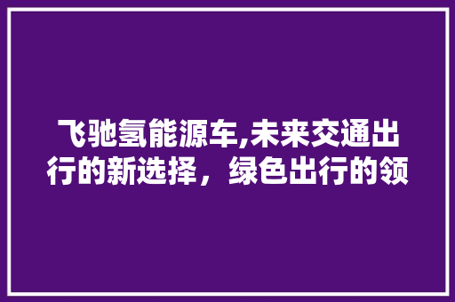 飞驰氢能源车,未来交通出行的新选择，绿色出行的领跑者