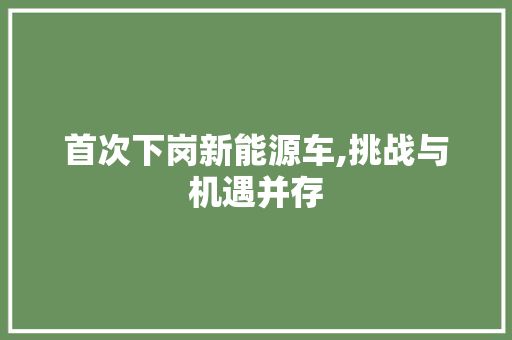 首次下岗新能源车,挑战与机遇并存