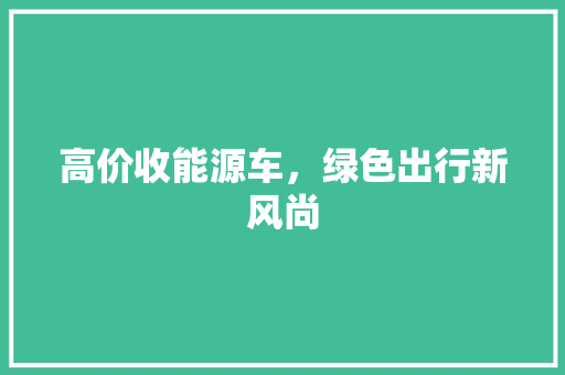 高价收能源车，绿色出行新风尚  第1张