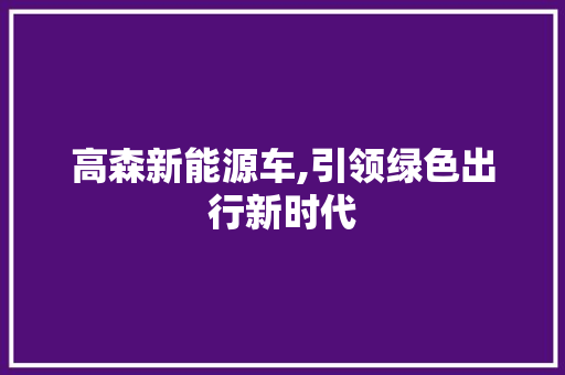 高森新能源车,引领绿色出行新时代