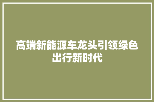 高端新能源车龙头引领绿色出行新时代