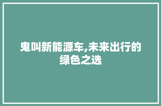 鬼叫新能源车,未来出行的绿色之选