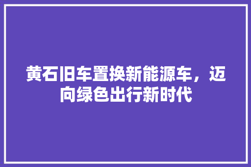 黄石旧车置换新能源车，迈向绿色出行新时代