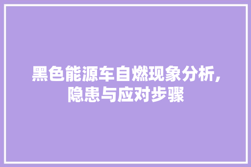 黑色能源车自燃现象分析,隐患与应对步骤