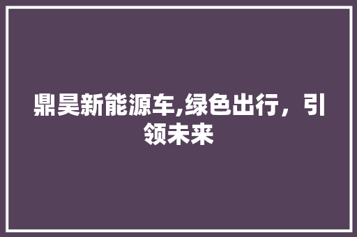 鼎昊新能源车,绿色出行，引领未来  第1张