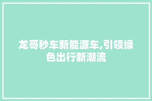 龙哥秒车新能源车,引领绿色出行新潮流