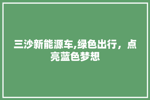 三沙新能源车,绿色出行，点亮蓝色梦想