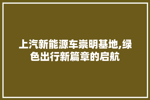 上汽新能源车崇明基地,绿色出行新篇章的启航