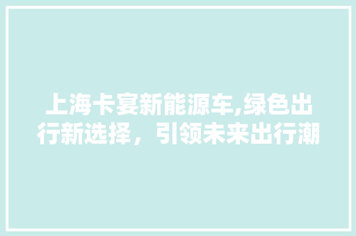 上海卡宴新能源车,绿色出行新选择，引领未来出行潮流