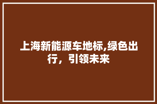 上海新能源车地标,绿色出行，引领未来