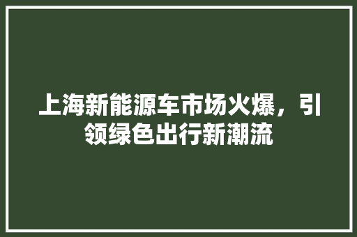 上海新能源车市场火爆，引领绿色出行新潮流