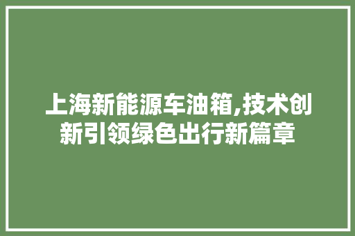 上海新能源车油箱,技术创新引领绿色出行新篇章  第1张