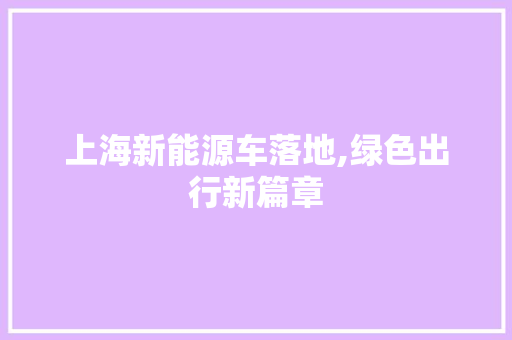 上海新能源车落地,绿色出行新篇章  第1张