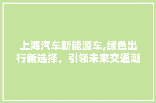 上海汽车新能源车,绿色出行新选择，引领未来交通潮流