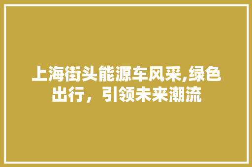 上海街头能源车风采,绿色出行，引领未来潮流