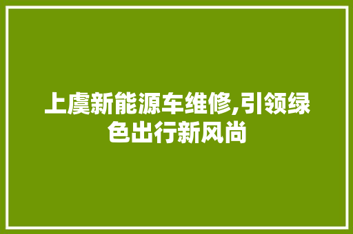 上虞新能源车维修,引领绿色出行新风尚