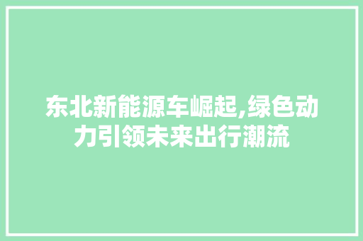 东北新能源车崛起,绿色动力引领未来出行潮流