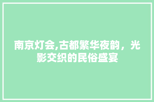 南京灯会,古都繁华夜韵，光影交织的民俗盛宴