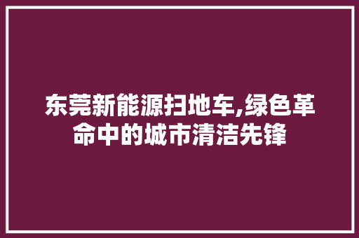 东莞新能源扫地车,绿色革命中的城市清洁先锋