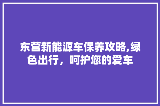 东营新能源车保养攻略,绿色出行，呵护您的爱车