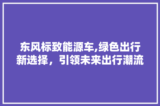 东风标致能源车,绿色出行新选择，引领未来出行潮流