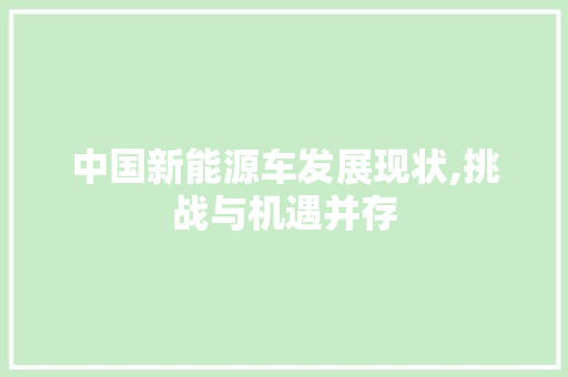 中国新能源车发展现状,挑战与机遇并存