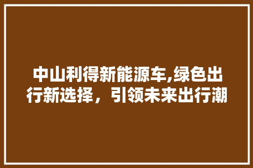 中山利得新能源车,绿色出行新选择，引领未来出行潮流