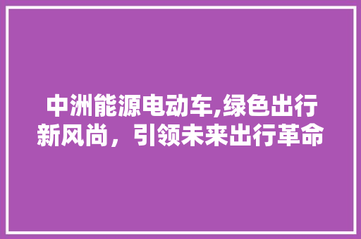 中洲能源电动车,绿色出行新风尚，引领未来出行革命