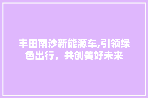 丰田南沙新能源车,引领绿色出行，共创美好未来