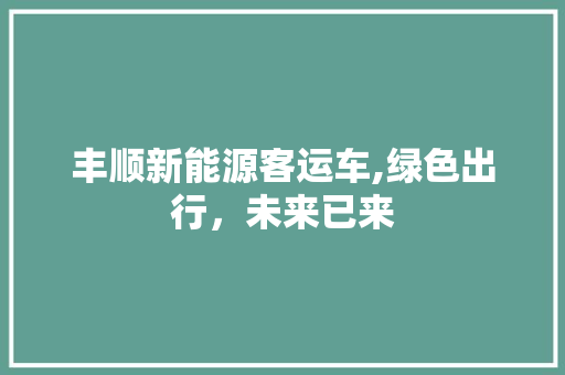 丰顺新能源客运车,绿色出行，未来已来