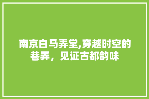 南京白马弄堂,穿越时空的巷弄，见证古都韵味