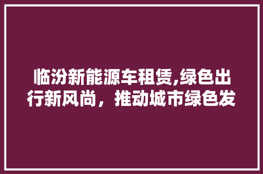 临汾新能源车租赁,绿色出行新风尚，推动城市绿色发展