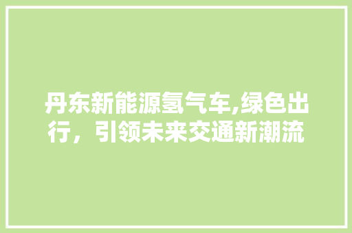 丹东新能源氢气车,绿色出行，引领未来交通新潮流