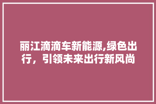 丽江滴滴车新能源,绿色出行，引领未来出行新风尚