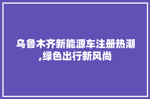 乌鲁木齐新能源车注册热潮,绿色出行新风尚