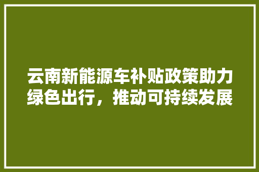 云南新能源车补贴政策助力绿色出行，推动可持续发展