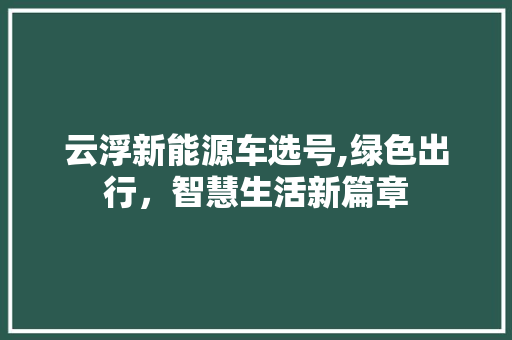 云浮新能源车选号,绿色出行，智慧生活新篇章