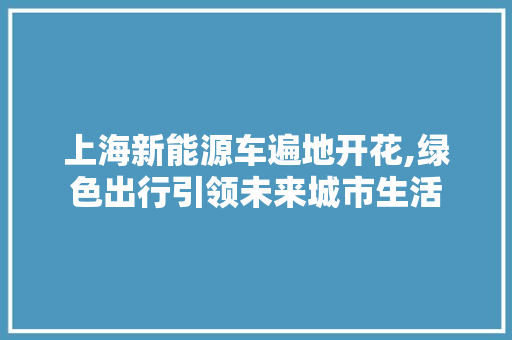 上海新能源车遍地开花,绿色出行引领未来城市生活  第1张