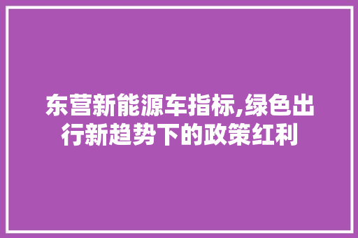 东营新能源车指标,绿色出行新趋势下的政策红利