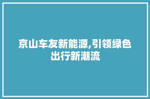 京山车友新能源,引领绿色出行新潮流  第1张