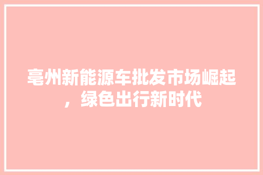 亳州新能源车批发市场崛起，绿色出行新时代