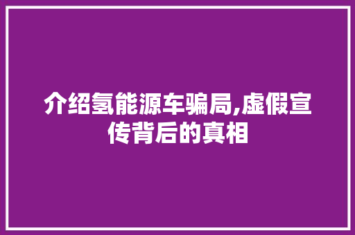 介绍氢能源车骗局,虚假宣传背后的真相