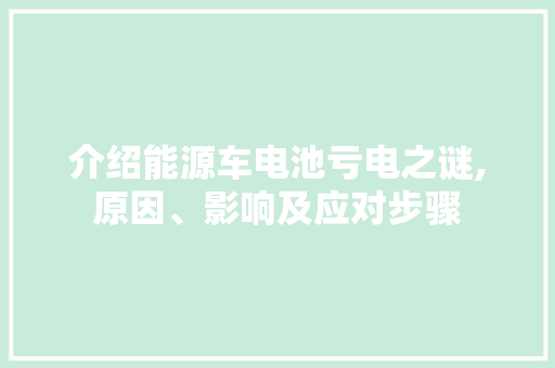 介绍能源车电池亏电之谜,原因、影响及应对步骤