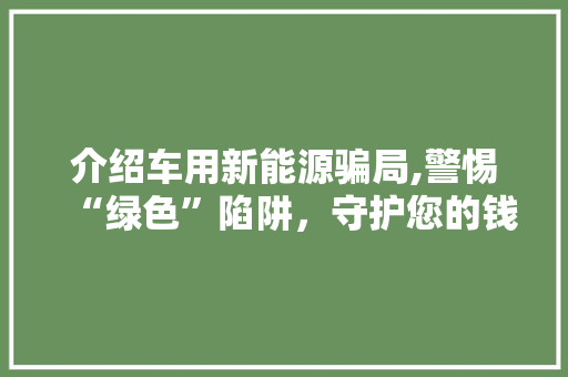 介绍车用新能源骗局,警惕“绿色”陷阱，守护您的钱包  第1张