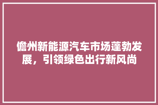 儋州新能源汽车市场蓬勃发展，引领绿色出行新风尚