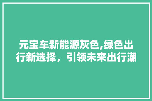 元宝车新能源灰色,绿色出行新选择，引领未来出行潮流