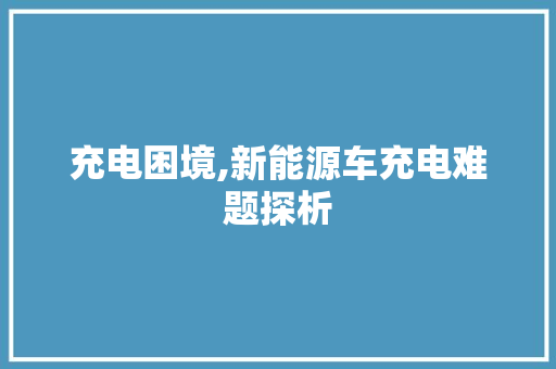 充电困境,新能源车充电难题探析