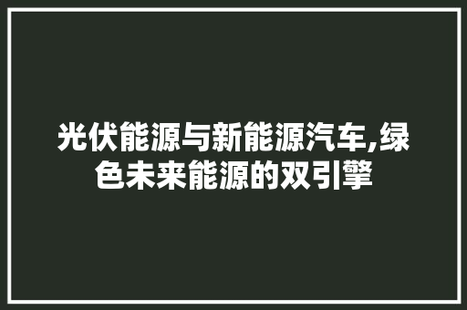 光伏能源与新能源汽车,绿色未来能源的双引擎