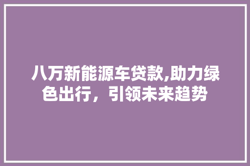 八万新能源车贷款,助力绿色出行，引领未来趋势