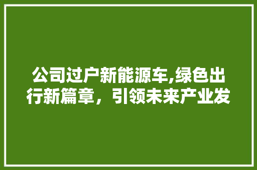 公司过户新能源车,绿色出行新篇章，引领未来产业发展趋势  第1张